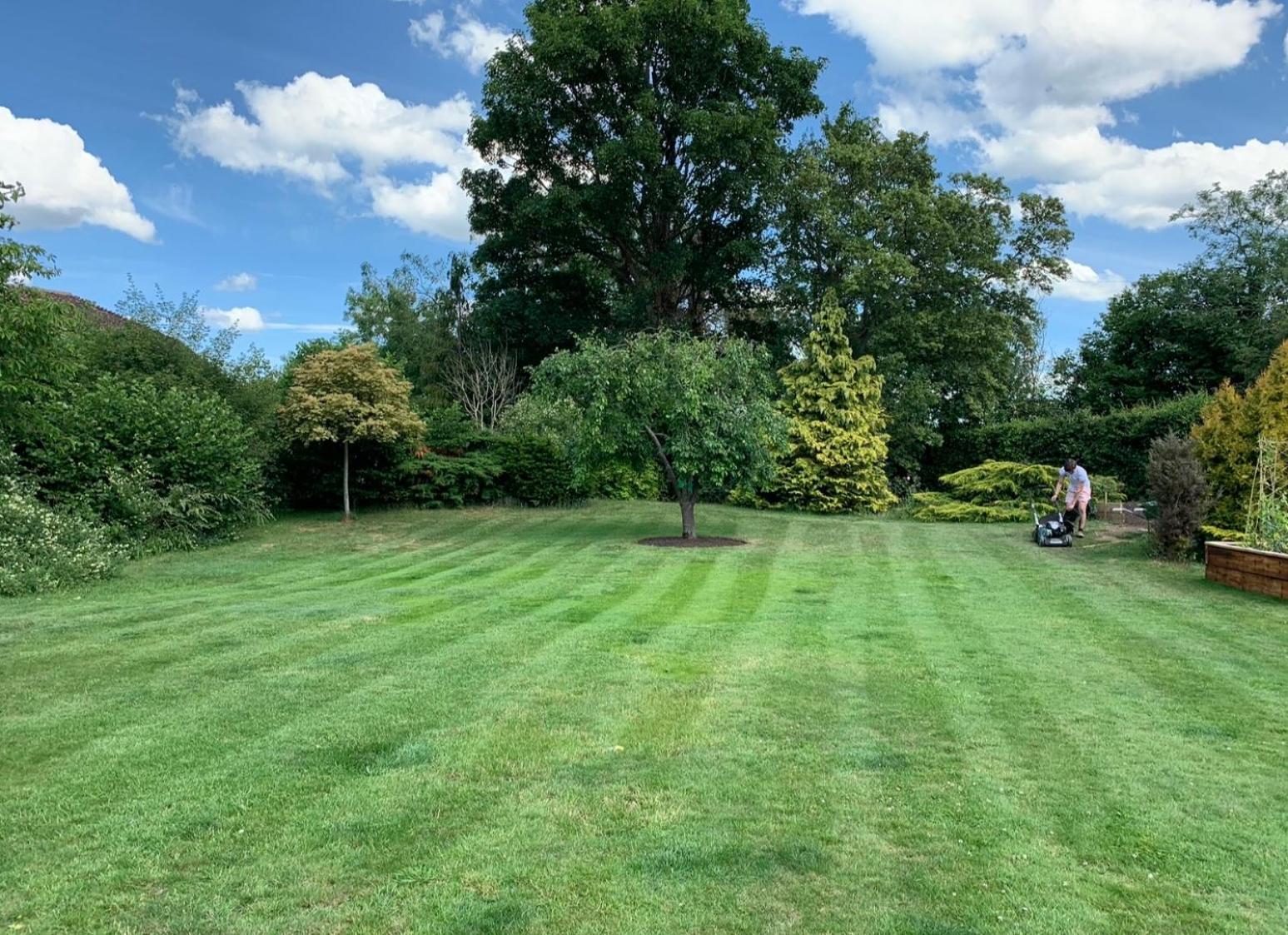 The Cottage Get Away Saffron Walden Exteriör bild